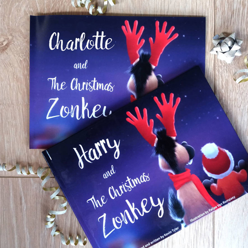 Personalised Christmas Zonkey book