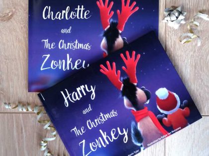 The hidden message of The Christmas Zonkey