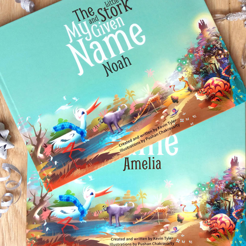 My Given Name Stork Book